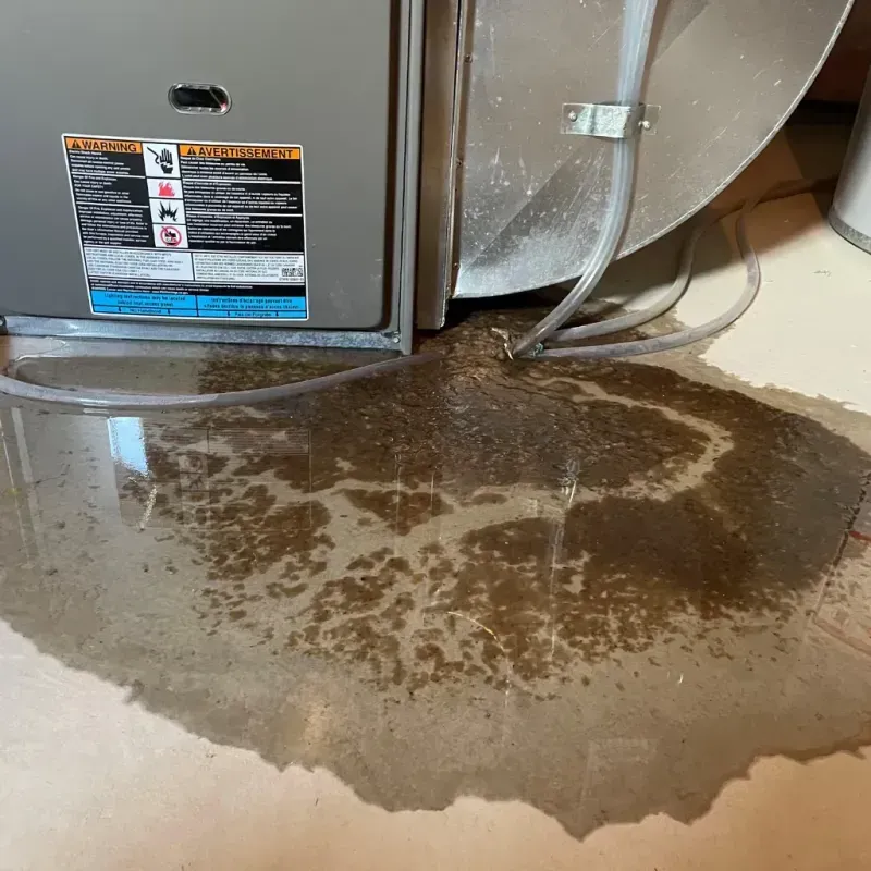 Appliance Leak Cleanup in Williston, SC